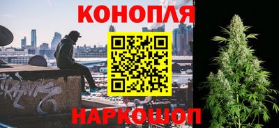 прущие крисы Славгород