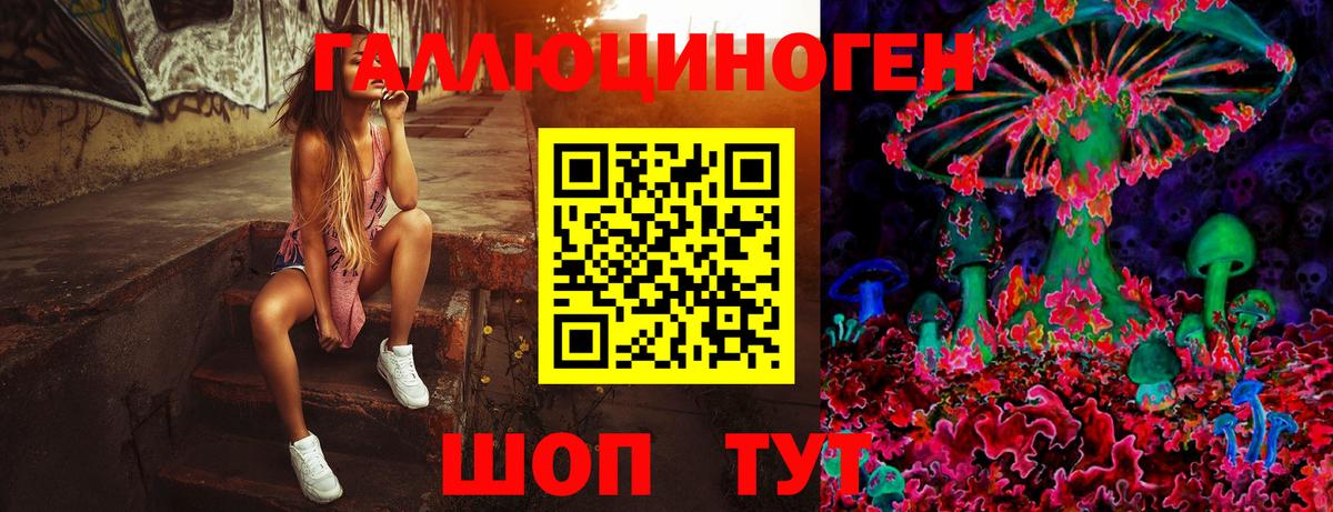 Новосибирск  Галлюциногенные грибы GOLDEN TEACHER  Галлюциногенные грибы Magic Shrooms  Вход с VPN 